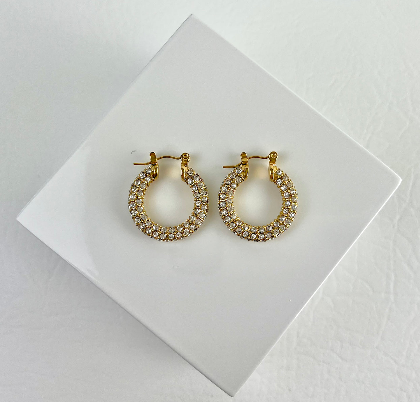 Zircon Hoops Earrings